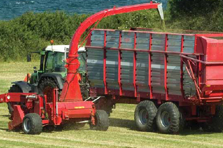    FCT 1355