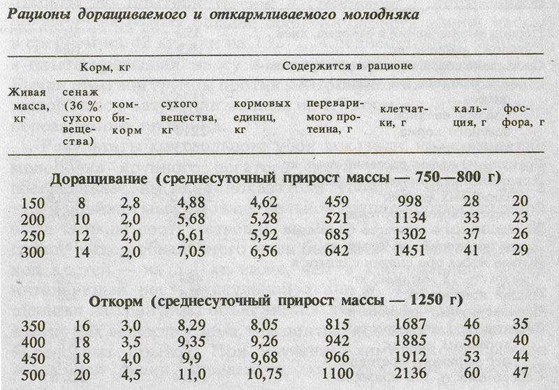 Реферат: Нормы кормления и рационы для быков производителей